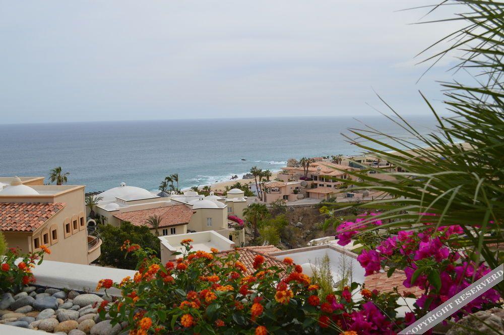 Villa Las Flores Cabo San Lucas Extérieur photo