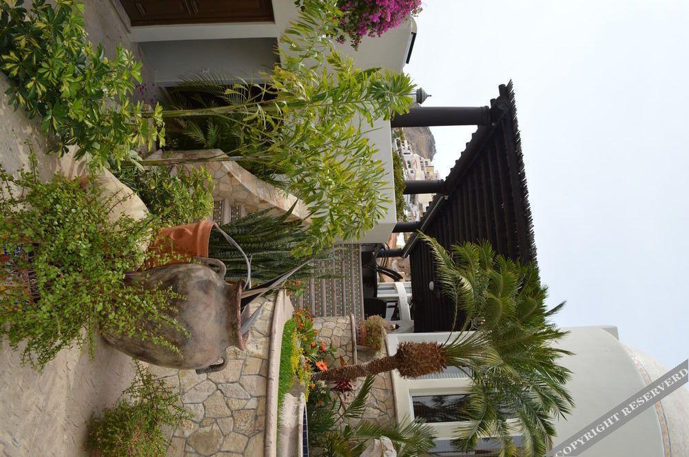 Villa Las Flores Cabo San Lucas Extérieur photo